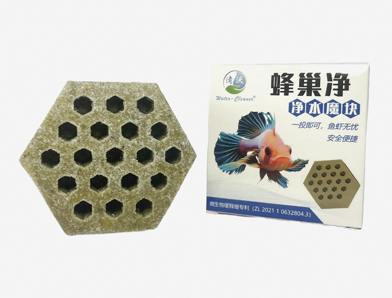深圳菌方
